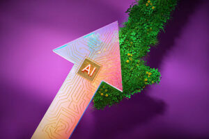 Sustainable AI
