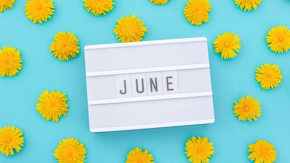 Ad Pulse June Marketing News Article